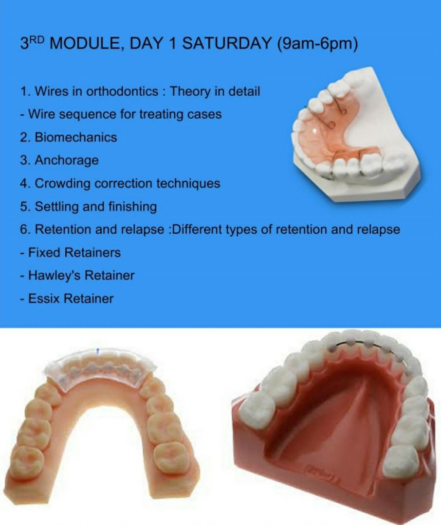 ortho-simplified-6