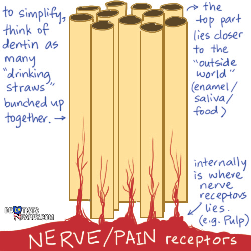 dentine-hypersensitivity-dentistsnearby